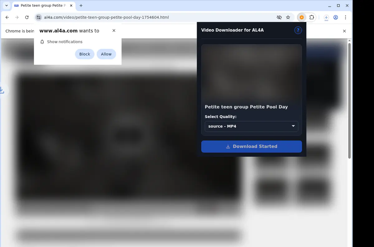 Al4a Video Downloader browser extension screenshot 2