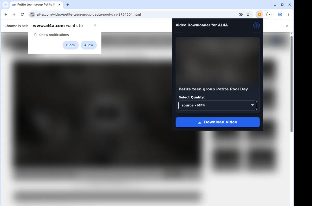 Al4a Video Downloader browser extension screenshot 3