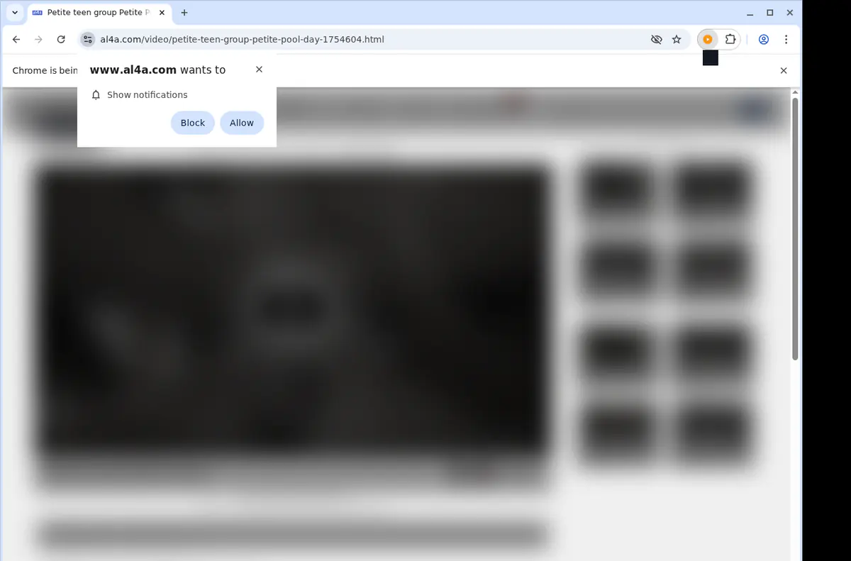 Al4a Video Downloader browser extension screenshot 5